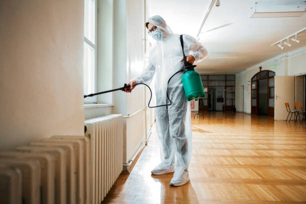 Best Fumigation Services  in Mayer, MN